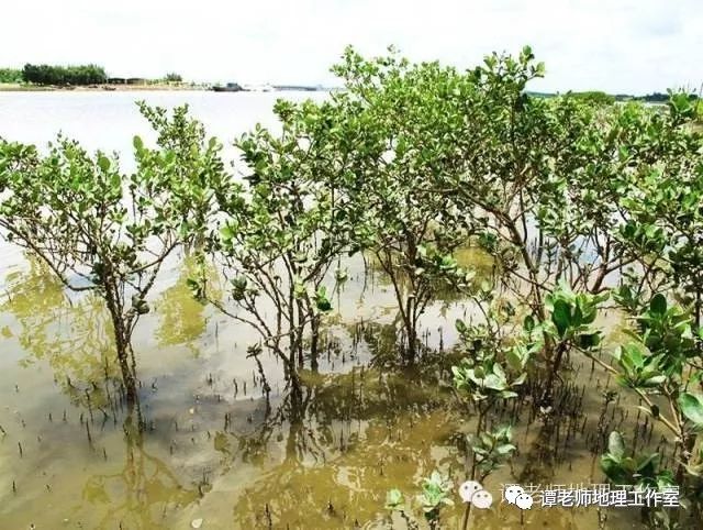 老河口健身房_河口健身房_河口县健身房