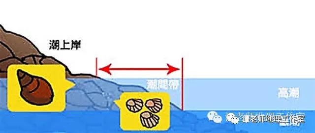 河口健身房_河口县健身房_老河口健身房