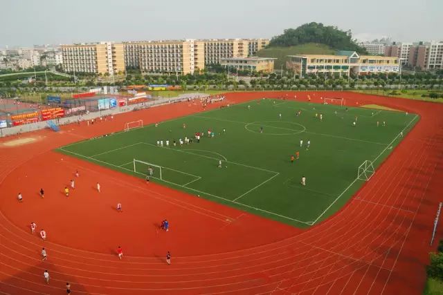 浙江大学游泳冠军铜像_浙江游泳冠军赛_浙江游泳金牌