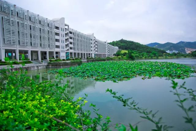 浙江游泳冠军赛_浙江游泳金牌_浙江大学游泳冠军铜像