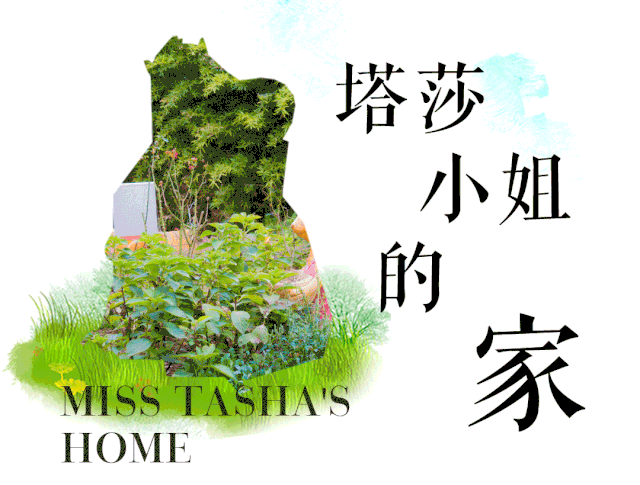 小资生活是怎样的_小资的生活方式_小资生活的三个标准