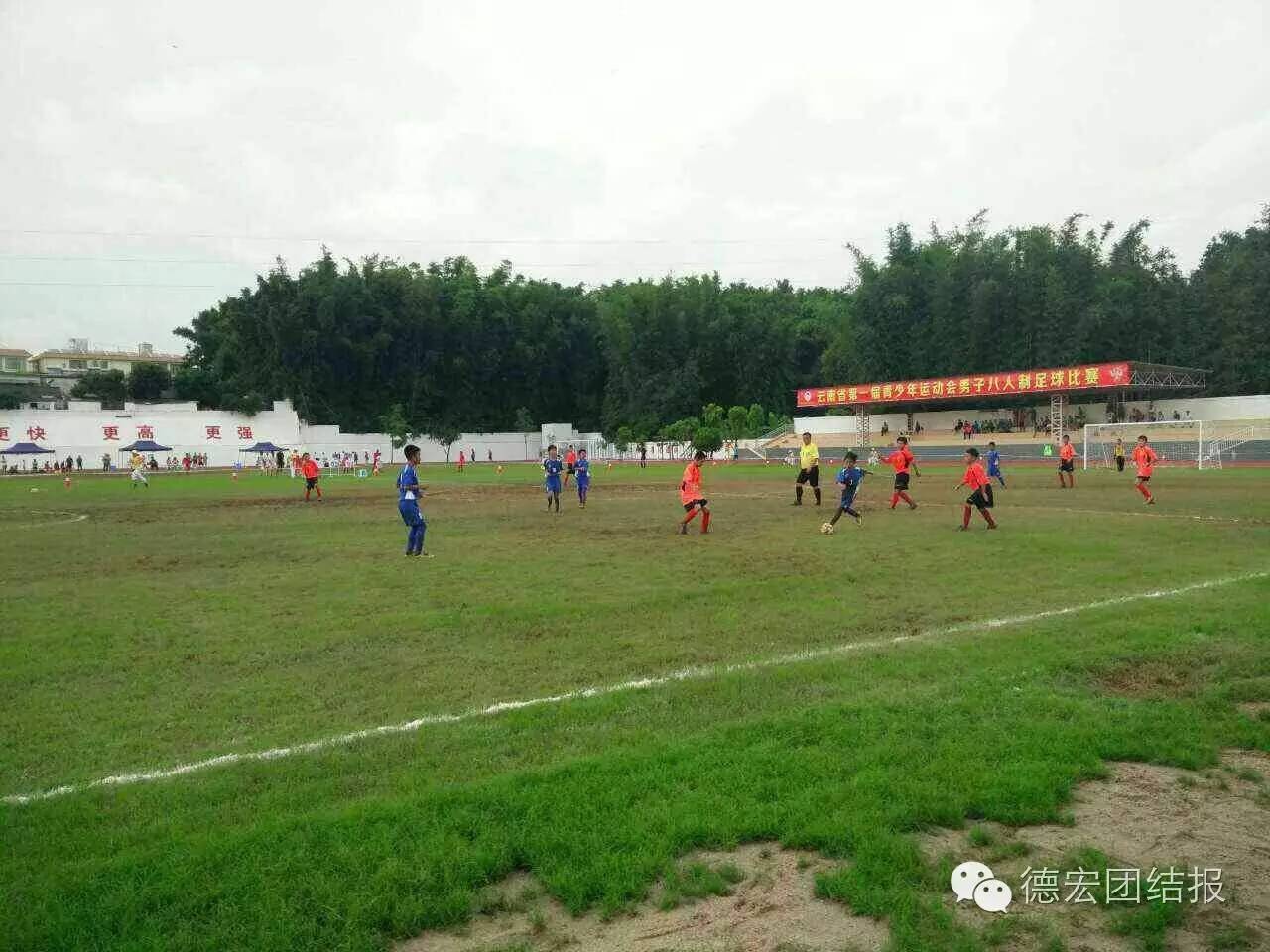 原游泳冠军_开远游泳教练_开远游泳冠军