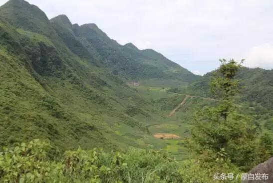 公开水域游泳冠军_开远游泳冠军_开远残奥游泳冠军